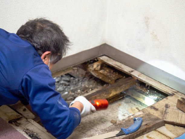 Water Damage Restoration in Bull Mountain, OR