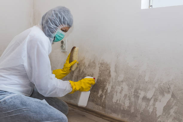 Best Mold Testing  in Bull Mountain, OR